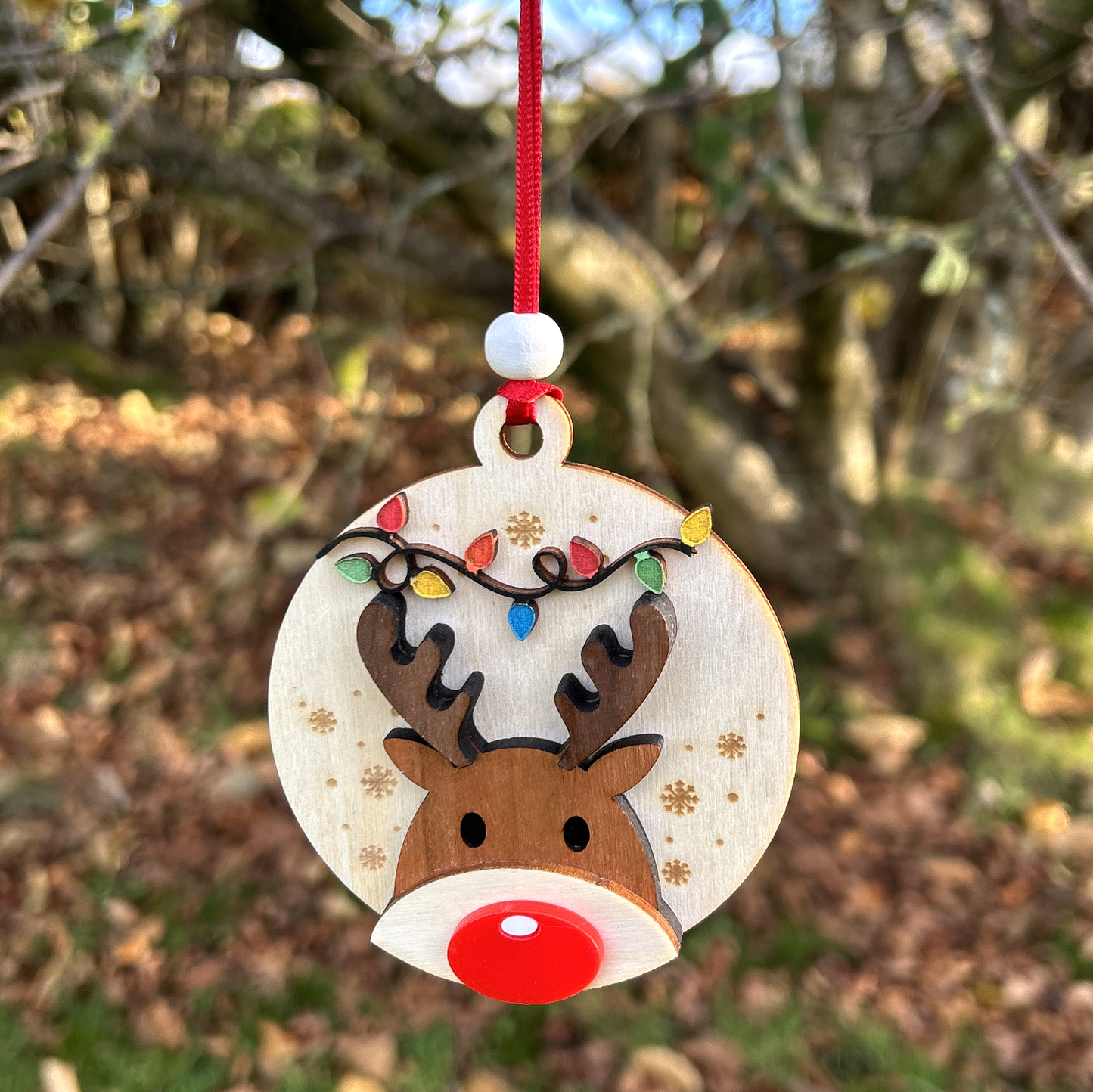 Rudolph the red nosed reindeet Christmas decoration